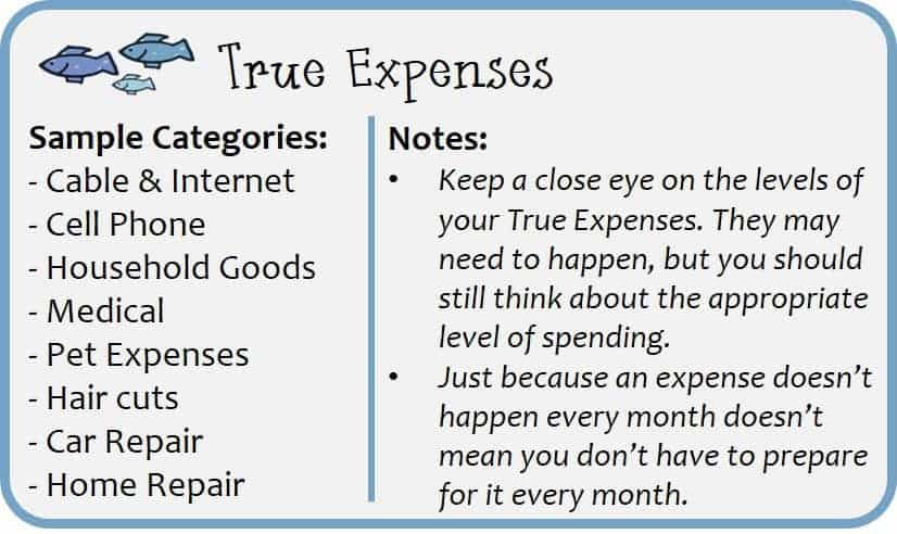 True Expenses