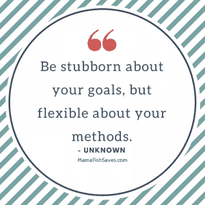 Be stubborn about your goals but flexible about your methods