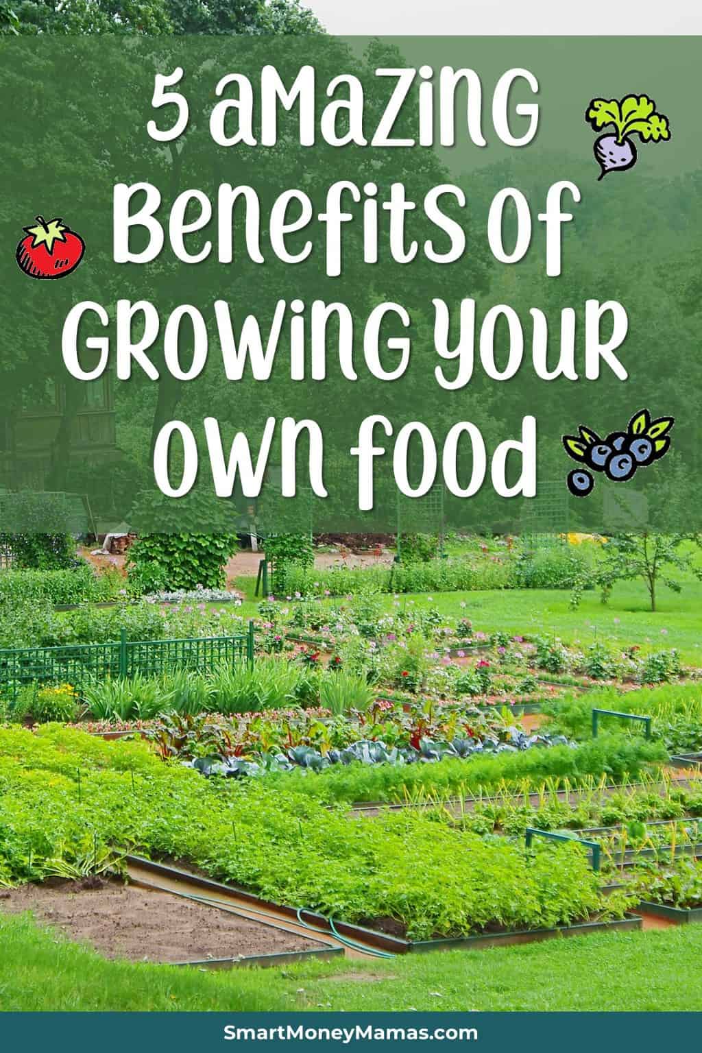 5 health and lifestyle benefits to growing your own food | Why growing your own food is about more than saving money #healthyliving #homesteading #growyourown #growfoodnotlawns