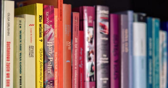 assortment of books sitting on shelf in color order